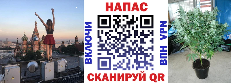 Магазин наркотиков Вольск Гашиш  АМФЕТАМИН  Меф  Конопля 