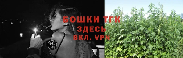дурь Богданович