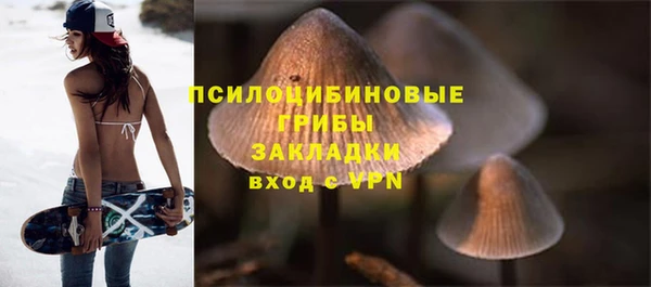 синтетический гашиш Богородск