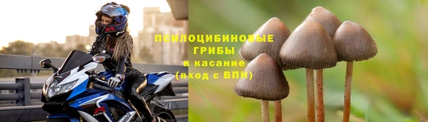прущая мука Богородицк