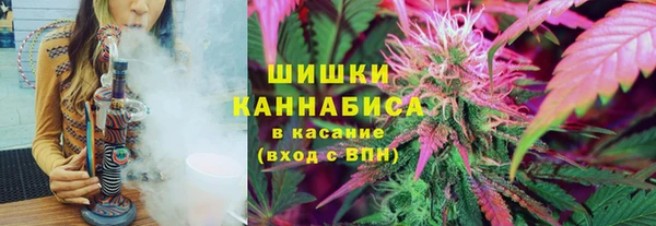 дурь Богданович